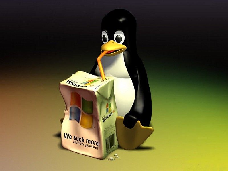 Linux,XP?ye Alternatif Olabilir Mi ?